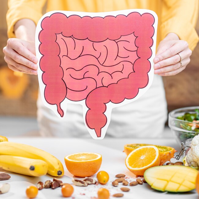 Santé Gastro-Intestinale